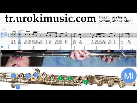 Flüt dersleri Luis Fonsi, Stefflon Don - Calypso Notalar Eğitim um-ih723