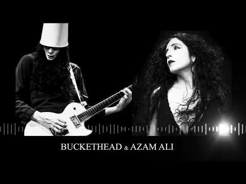 Buckethead & Azam Ali - Birds Fall Even With Wings ( Upcoming album "Flowers for the Bees" teaser)