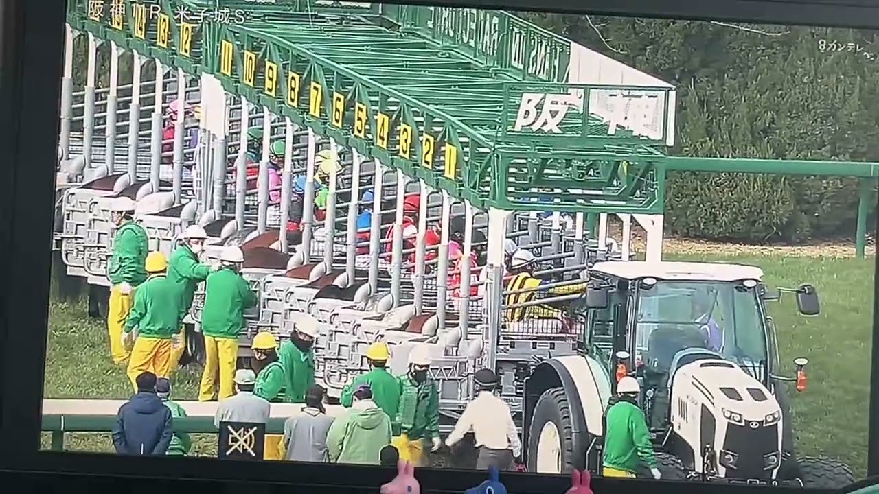 【競馬実況動画2026】第1回阪神競馬5日目 11R 米子城ステークス タマモブラックタイ（幸英明）