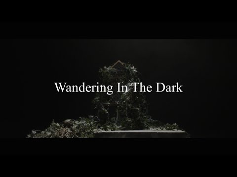 Ursine Vulpine & Annaca - Wandering In The Dark (Lyric Visualizer)