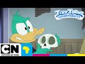 The Haunted Mansion Tiny Toons Looniversity Cartoon Network Africa