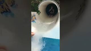 （断られるヤツ）女性の容姿によってボディタッチ度合いが違いすぎる係員⑯picky body touches #塩対応シリーズ#ウォータースライダー