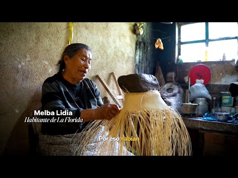 ZAVA: La tragedia que nunca pasó | Historias alrededor del volcán Galeras. 🌋