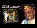 Bunny Wailer Reincarnated Souls