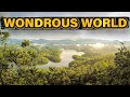 Wondrous World Of The Congo Rainforest