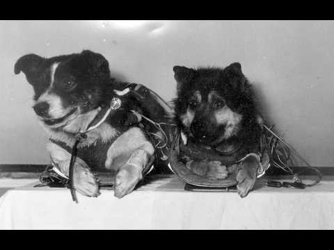 Машина времени 22 02