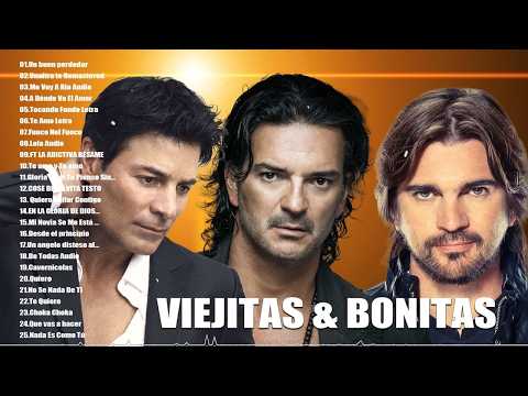 R. MONTANER, E. IGLESIAS, LUIS MIGUEL, MANÁ, RICKY MARTIN, A. FERNÁNDEZ, E. RAMAZZOTTI: ÉXITOS