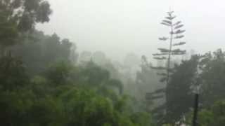 preview picture of video 'Rain in the Rainforest near Daintree and Port Douglas'