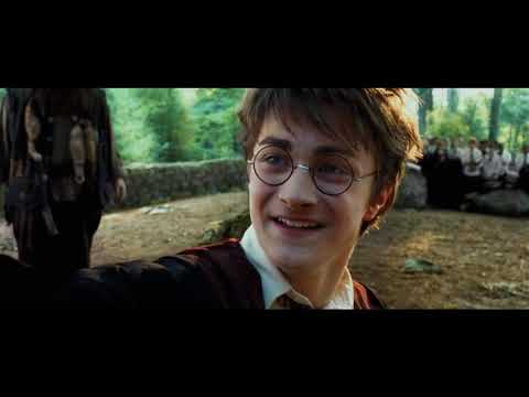 Harry Potter lezione ippogrifo