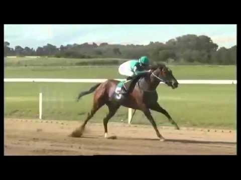 5° Carrera – 1° La Bombona (SINT-Colonia)