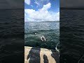 Just swimming with the coach ... ?