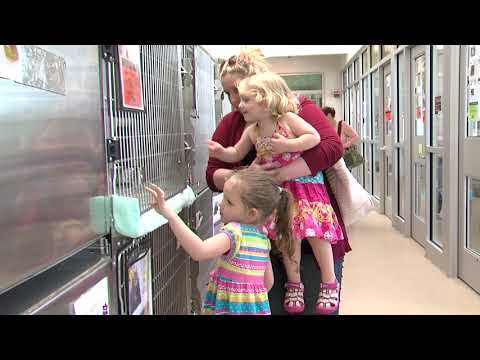 Montgomery al Dia from CRTW 491