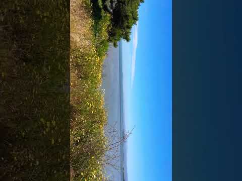 @water and flowers 🌸