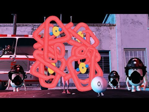 Los Mitocondrios - La Hemoglobina (Sistema Respiratorio)