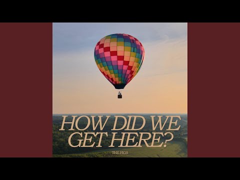 Thank Me Now - The Figs