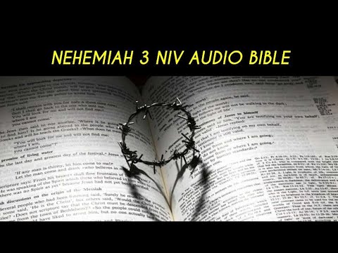 NEHEMIAH 3 NIV AUDIO BIBLE