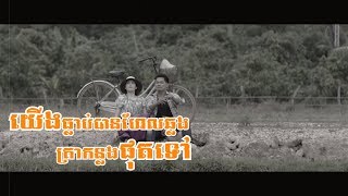 yt