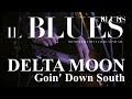 Delta Moon - Goin' Down South - Il Blues Magazine