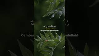 Download lagu Rouhi Fidak - Story wa 30 detik mp3