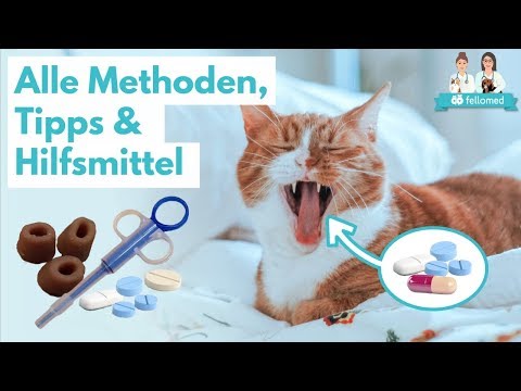 giardiavax katze féreghajtó étrend kiegészítő