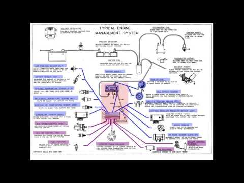 Instructor Series: Inputs, outputs, & PCM