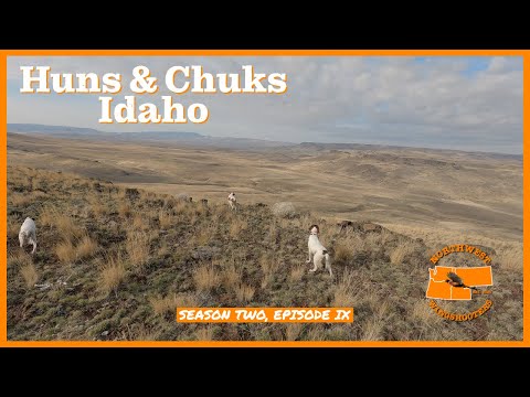 Hunting Hungarian Partridge, Chukar and Quail - Huns & Chuks Idaho - Season II - Episode IX