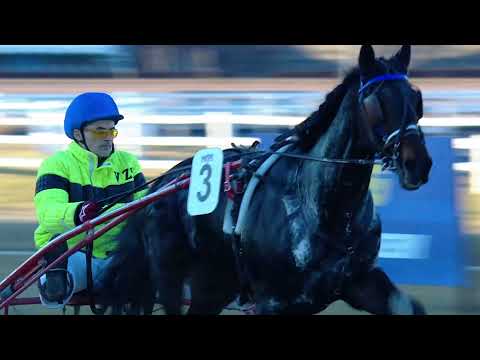 2021.12.31. 04. futam - TRACO - BUBIK ISTVÁN EMLÉKVERSENY HENDIKEP