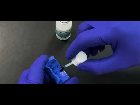 gingiva MASK Application with indirect method (english)