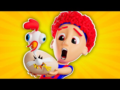 Coco the Rooster! | D Billions Kids Songs