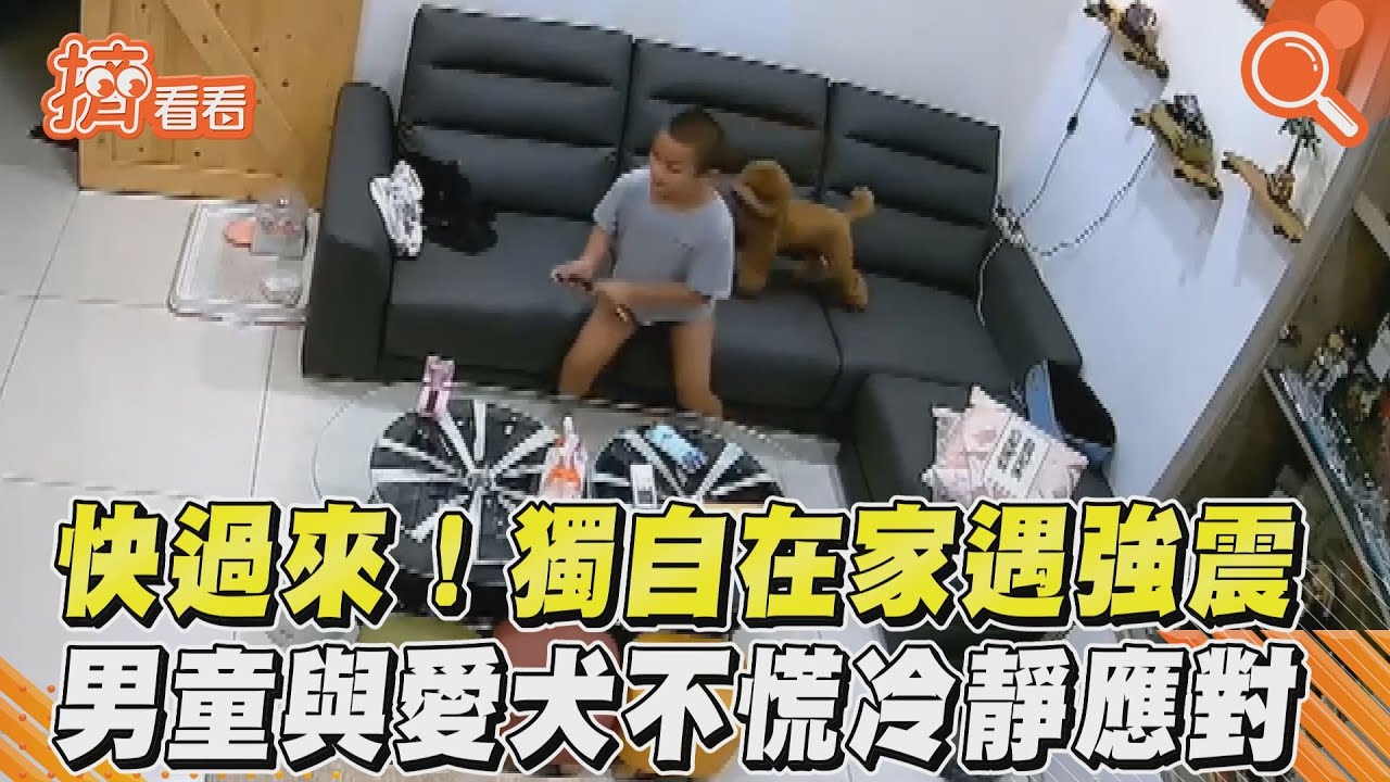 影音/快過來!獨自在家遇強震 男童與愛犬不慌冷靜應對