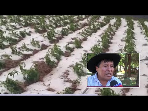 Desastre por la granizada en Cochabamba