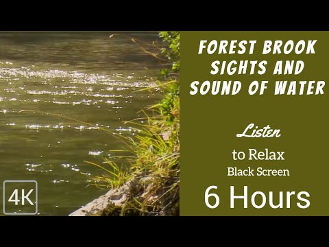 Forest Brook 6hrs 4K HDR Babbling Brook - Water Sounds - Relaxing Nature Video