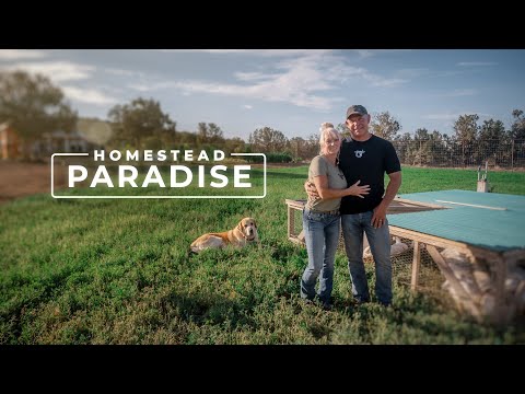 , title : '9 Years of "Simple Living" Building a Homestead Paradise | PARAGRAPHIC'