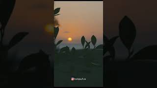 Download lagu CERAMAH HABIB BAHAR INI SANGAT MENYENTUH HATI | CERAMAH SINGKAT MENYENTUH HATI mp3 Download lagu CERAMAH HABIB BAHAR INI SANGAT MENYENTUH HATI | CERAMAH SINGKAT MENYENTUH HATI mp3