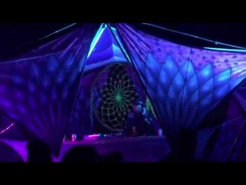 Whiptongue (Looney Moon Rec) @ Roots Day