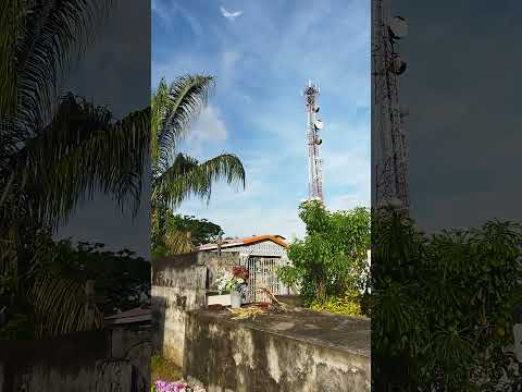 Pinillos Bolívar Colombia 0976