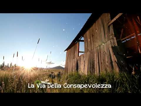 ✨ Purifica e Rigenera: Meditazione Guidata per Rilassamento Profondo ✨#meditazione #energiapositiva