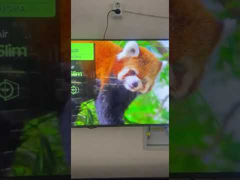 Телевізор Samsung QE43Q8F