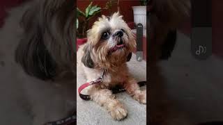 Download lagu chloudy mp3