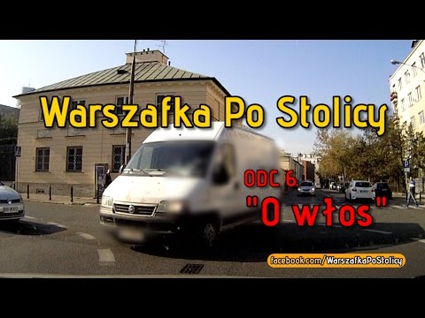 O włos