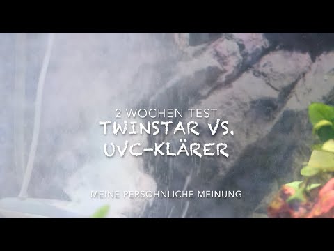 Twinstar für Algen vs UV-C Klärer - Und Blick in mein Diskus Aquarium - Was ist Besser?