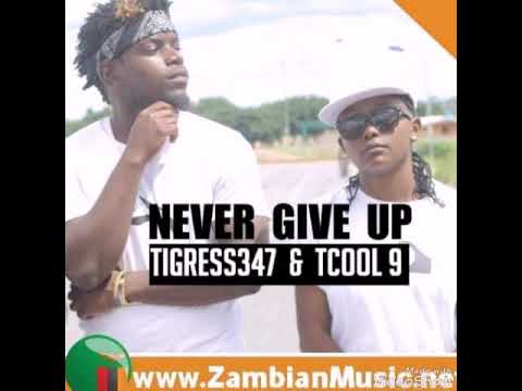 Tigress 34-7 ft Tcool 9ine Eleven