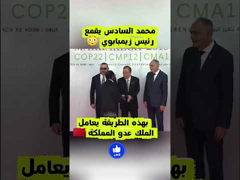 اوووف 😳 محمد السادس يقمع رئيس زيمبابوي أمام أنظار الأمين العام للأمم المتحدة 👀