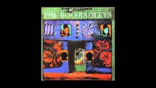 The Boo Radleys Foster&#39;s van