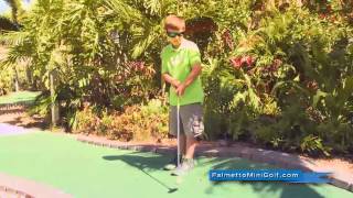 preview picture of video 'Palmetto Mini Golf'