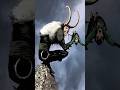 These Are The Three Weirdest Versions Of Loki Shorts Comics Short Loki Thor