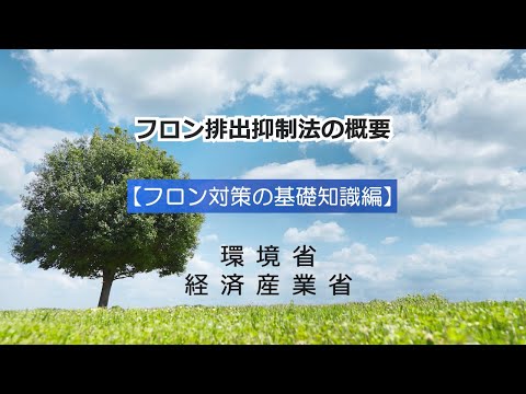 フロンスキー・ベジャディクのフロン。