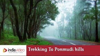 Trekking to Ponmudi Hill Station 