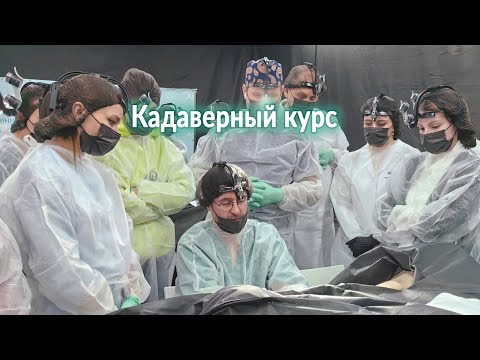 Кадаверный курс