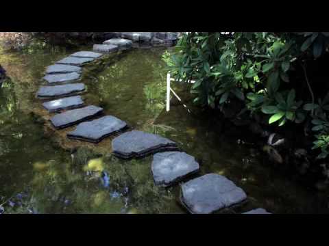 Thumbnail for It's No Use Pretending video